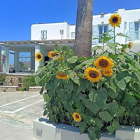 Zephyros 3* Mykonos Town